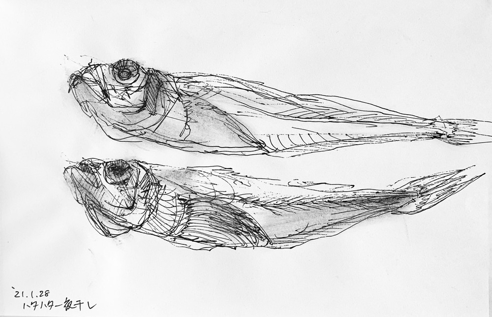 世田谷美術館美術大学通信講座② 「自宅で毎日3分クロッキー」その10