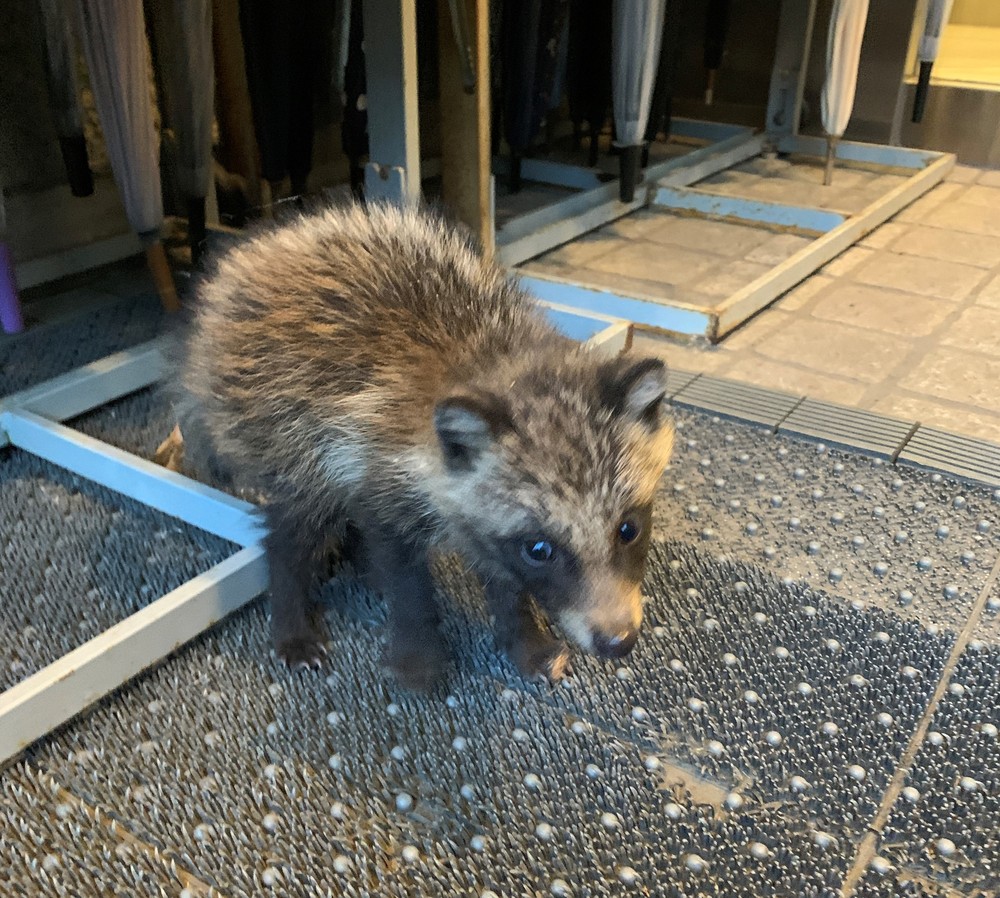 6月2日、小さな訪問客 | 世田谷美術館 SETAGAYA ART MUSEUM