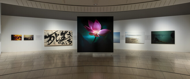 祈り・藤原新也 | 世田谷美術館 SETAGAYA ART MUSEUM