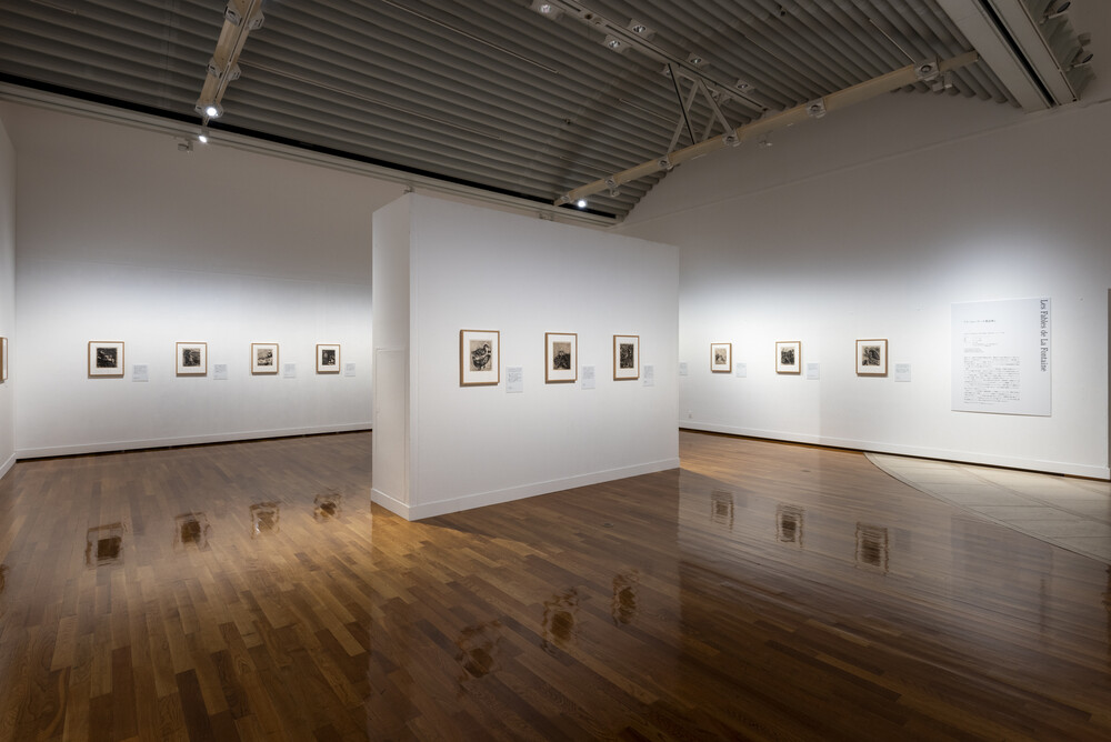 マルク・シャガール 版にしるした光の詩 | 世田谷美術館 SETAGAYA ART